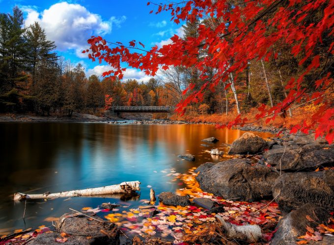 Wallpaper Autumn, lake, forest, 4k, Nature 3391412073